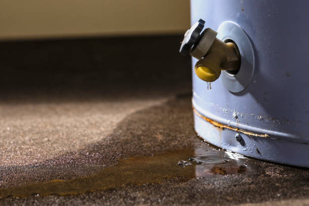 Best Flood damage cleanup  in Highland, NY
