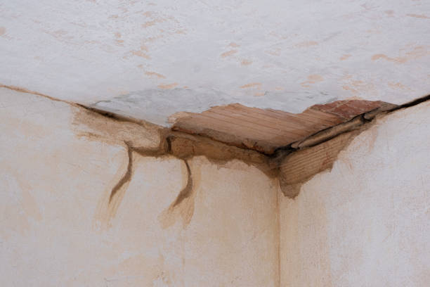 Best Water damage restoration mold remediation  in Highland, NY