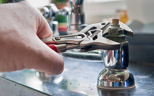 Best Professional water damage repair  in Highland, NY