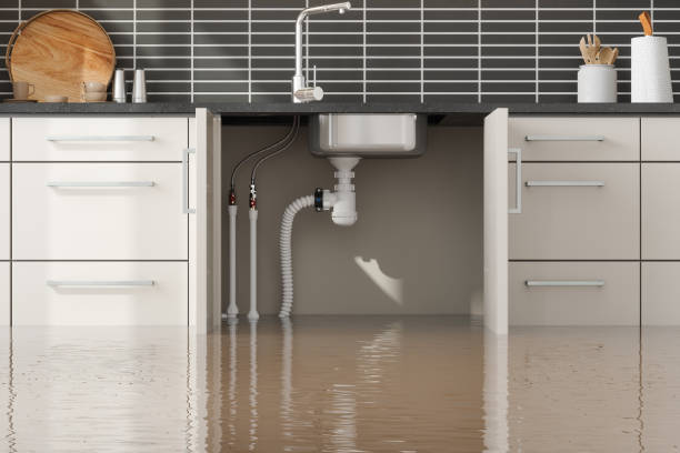 Best Flooded house restoration  in Highland, NY
