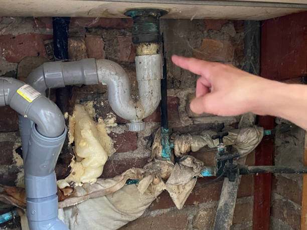 Best Basement water damage restoration  in Highland, NY
