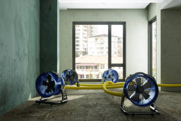 Best Water damage contractors near me  in Highland, NY